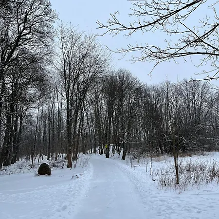 Apartament Renovated With Wi-fi *