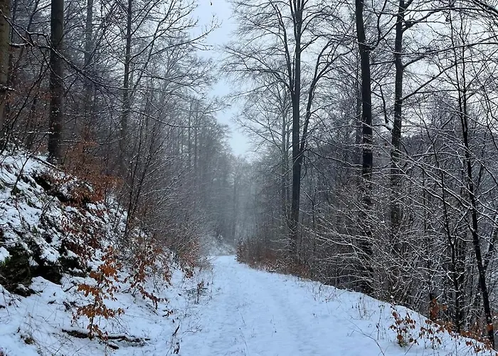 Renovated With Wi-fi Walkenried